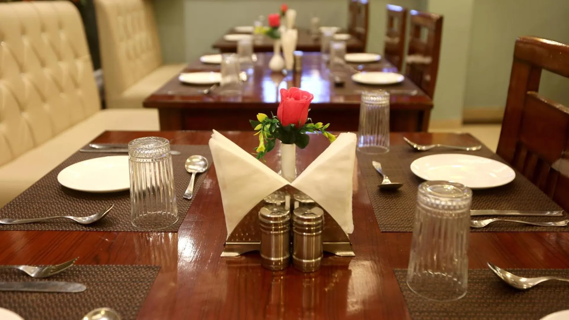 Hotel Deluxe Stay Inn Delhi Airport New Delhi India